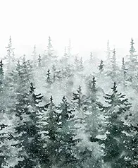 落雪松林 壁畫