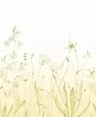 田園野花 壁畫(黃綠)