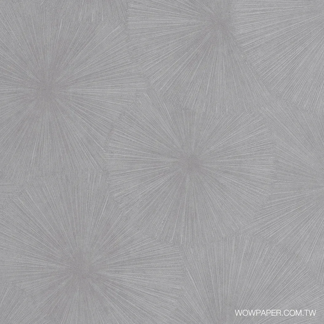 煙火 壁紙(灰)
