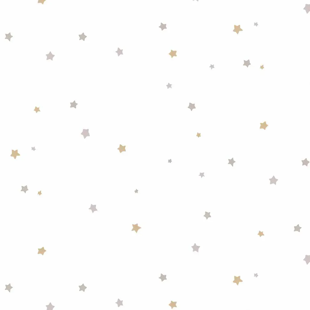 沙漠星語 壁紙(灰)