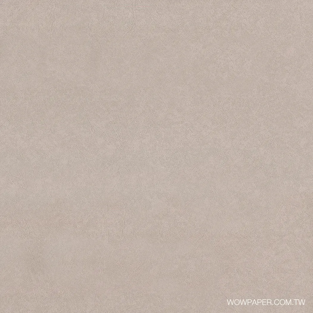 肌理工法漆牆 壁紙(燕麥灰)