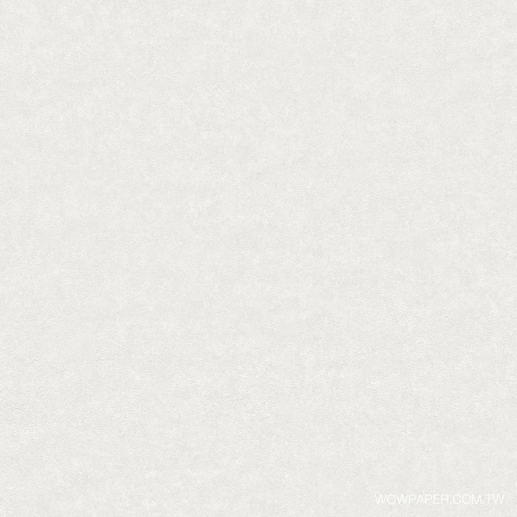 細肌理泥牆 壁紙(淡灰)