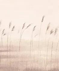 黎明的沙洲 壁畫(粉棕)