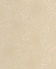 煙火 壁紙(沙)