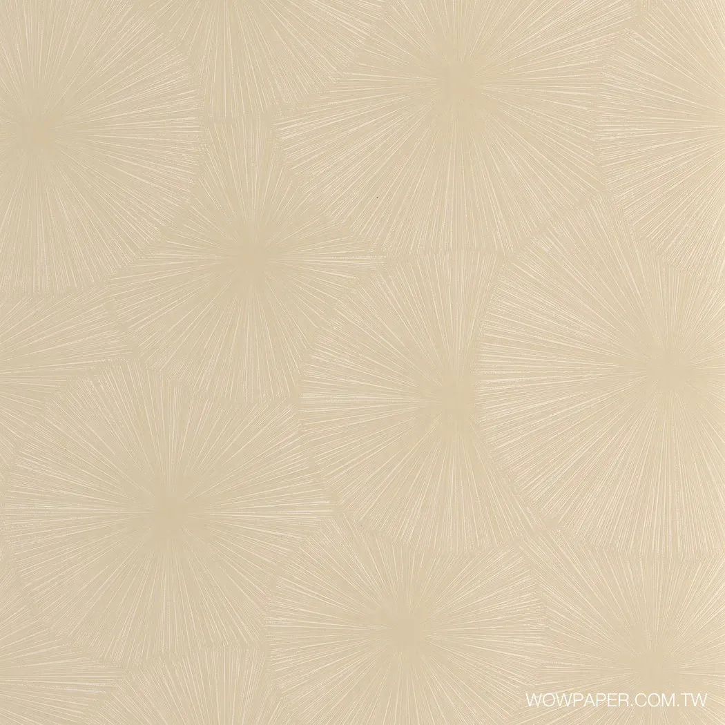 煙火 壁紙(沙)