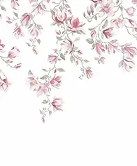 玉蘭花雨 壁畫(桃)