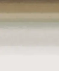 融合 壁畫(棕綠)