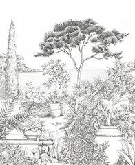 蔚藍海岸公園 壁畫(灰)