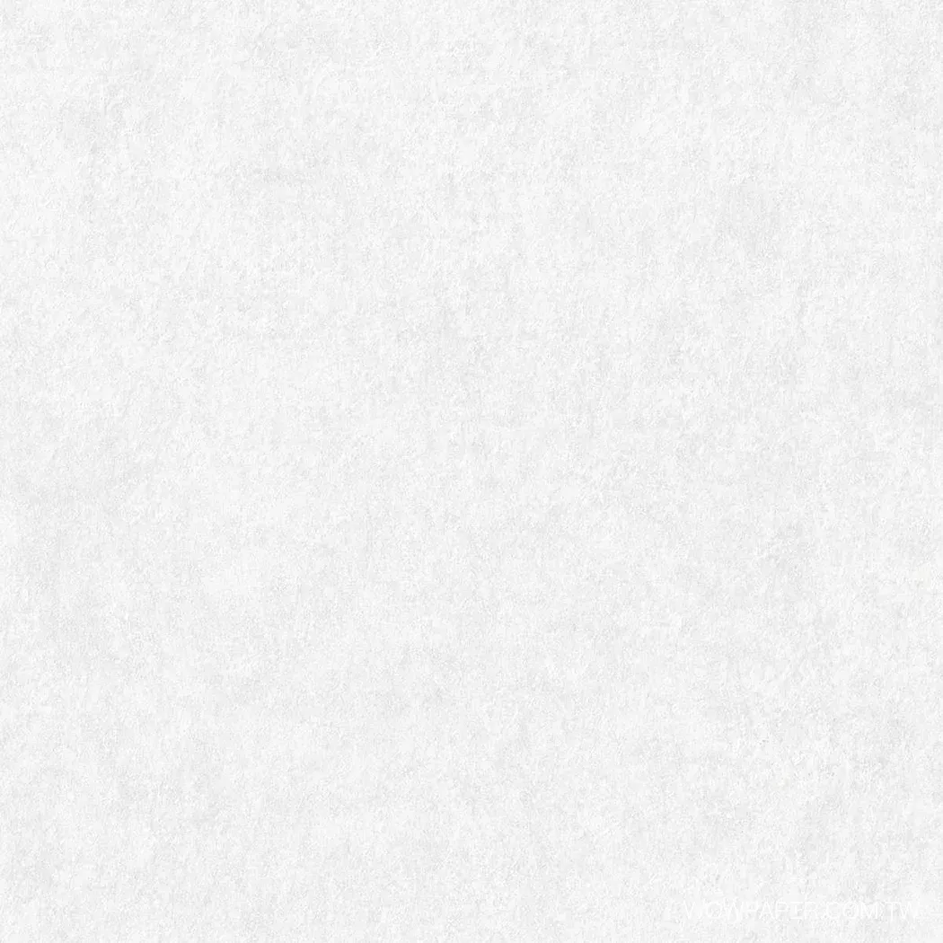 珍珠光銹牆 壁紙(白)