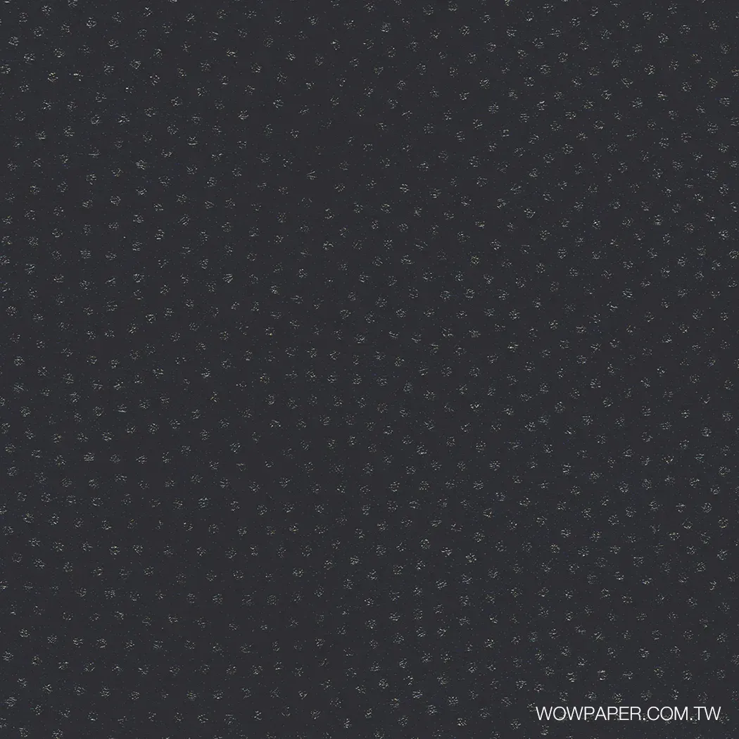 鯊紋壁紙(黑)