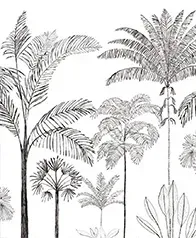 椰林素描 壁畫(灰黑)