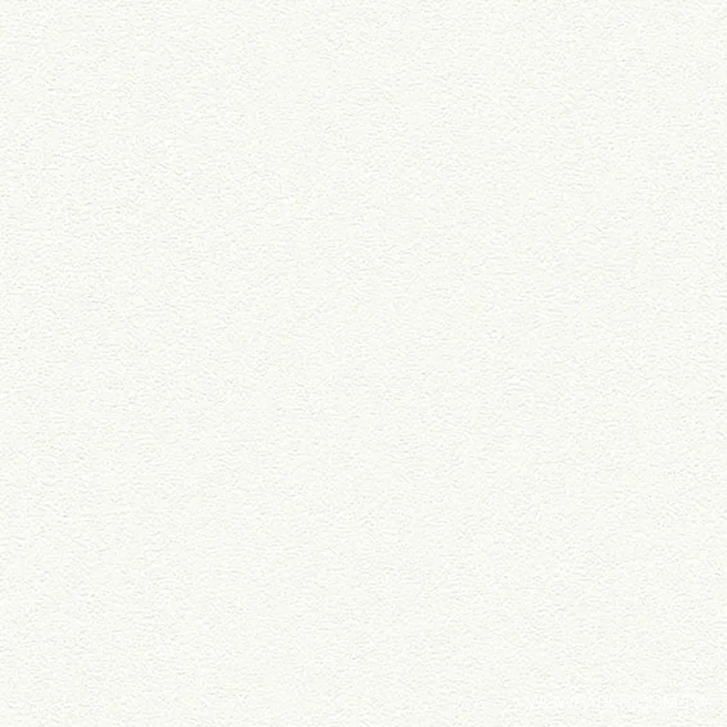 投影機能 壁紙(白)