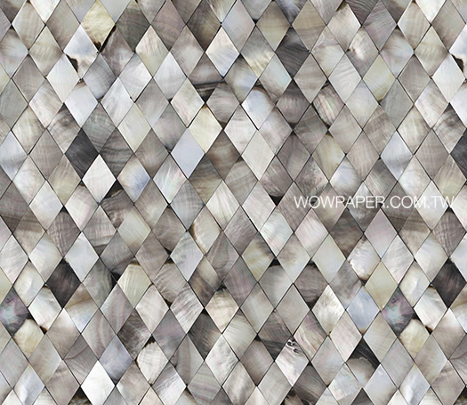 15WWCM-SS-00169