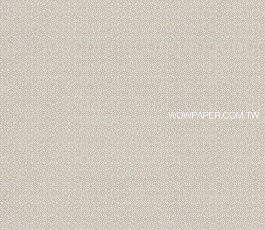 21WYP1-WVP4050