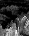雲嶽書墨 壁畫- 黑灰