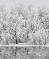 雪鏡森林 壁畫