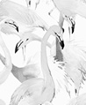 紅鸛 壁畫(白灰)